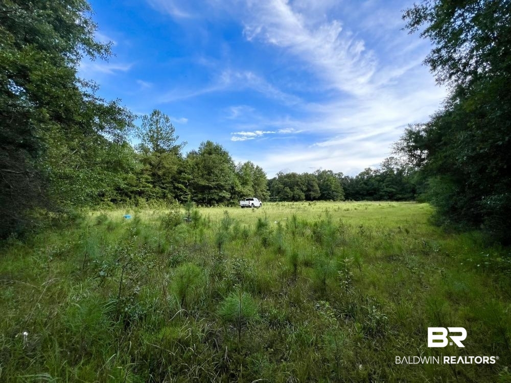 0 Country Rd Mount Mount Vernon, AL 36560 - Photo 15 of 15