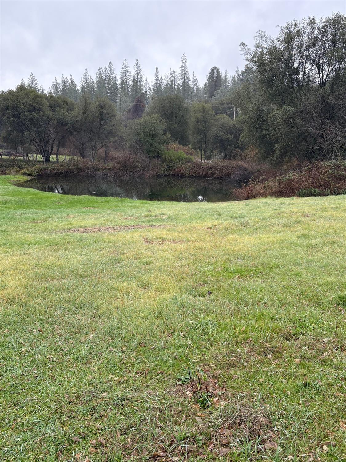 20357 Pleasant Valley Road North San Juan, CA 95960 - Photo 3 of 6