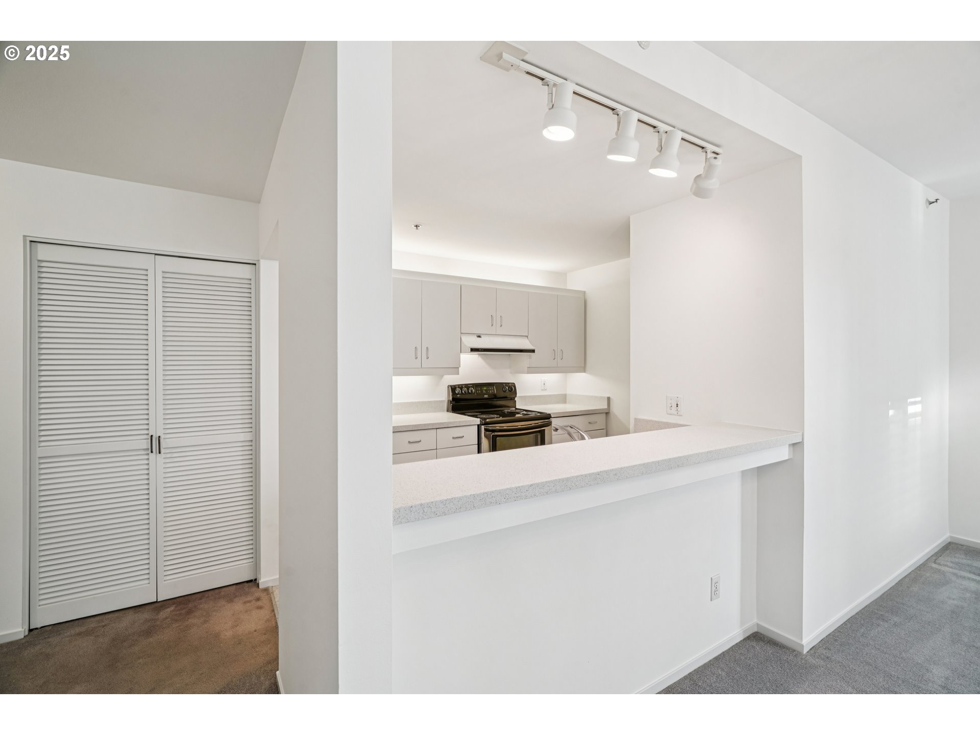 1616 South Harbor Way, Unit 402 Portland, OR 97201 - Photo 12 of 34 a kitchen with a sink cabinets and appliances