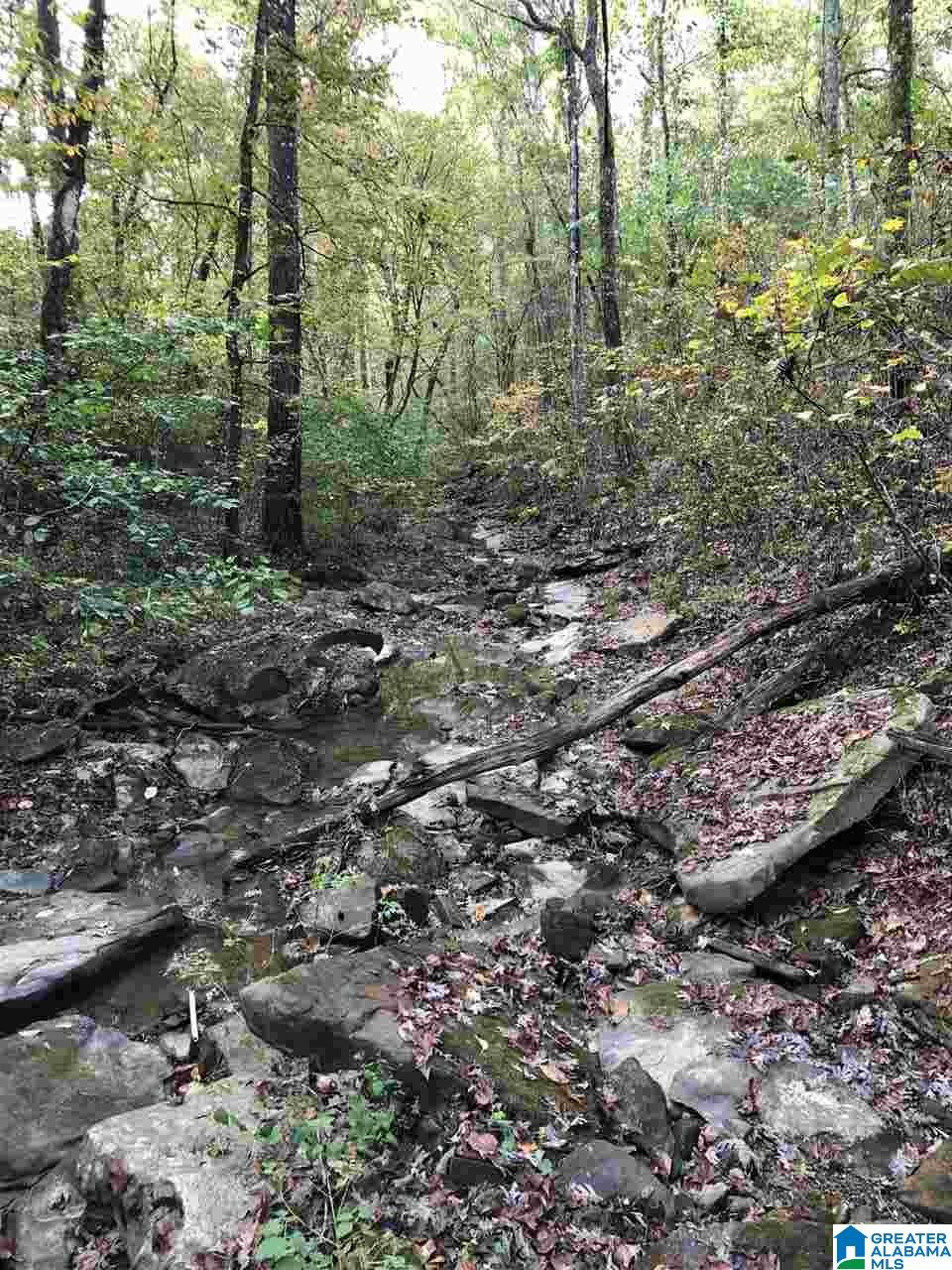 1114 Roulain Road, Unit 1114 Odenville, AL 35120 - Photo 3 of 4