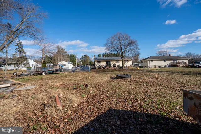 a view of a town with large trees