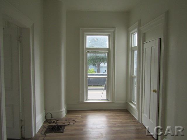 464 South Main Street, Unit 1 Adrian, MI 49221 - Photo 14 of 15