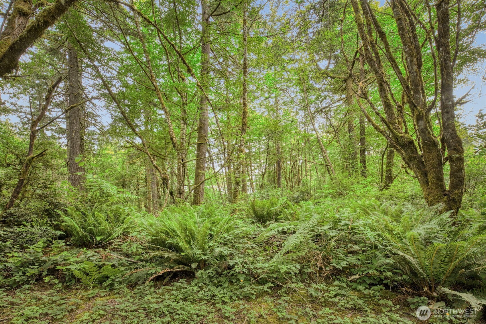 4748 Southwest Hunter Road Port Orchard, WA 98367 - Photo 5 of 21 Gallery Image 5
