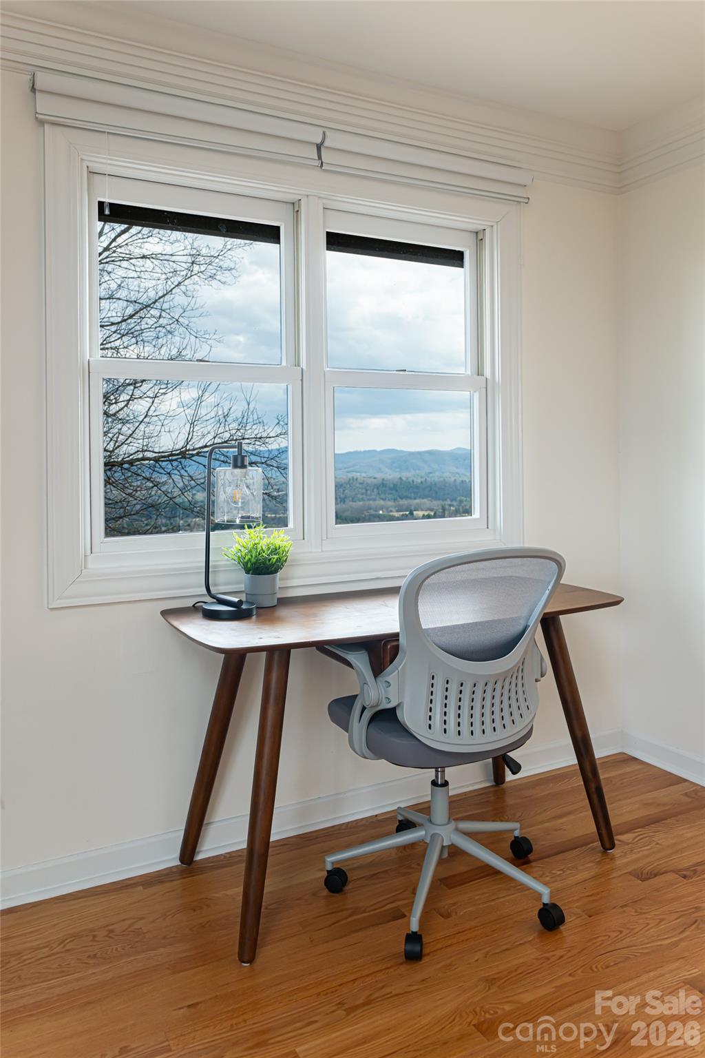 246 Sweetwater Road Mills River, NC 28759 - Photo 28 of 48