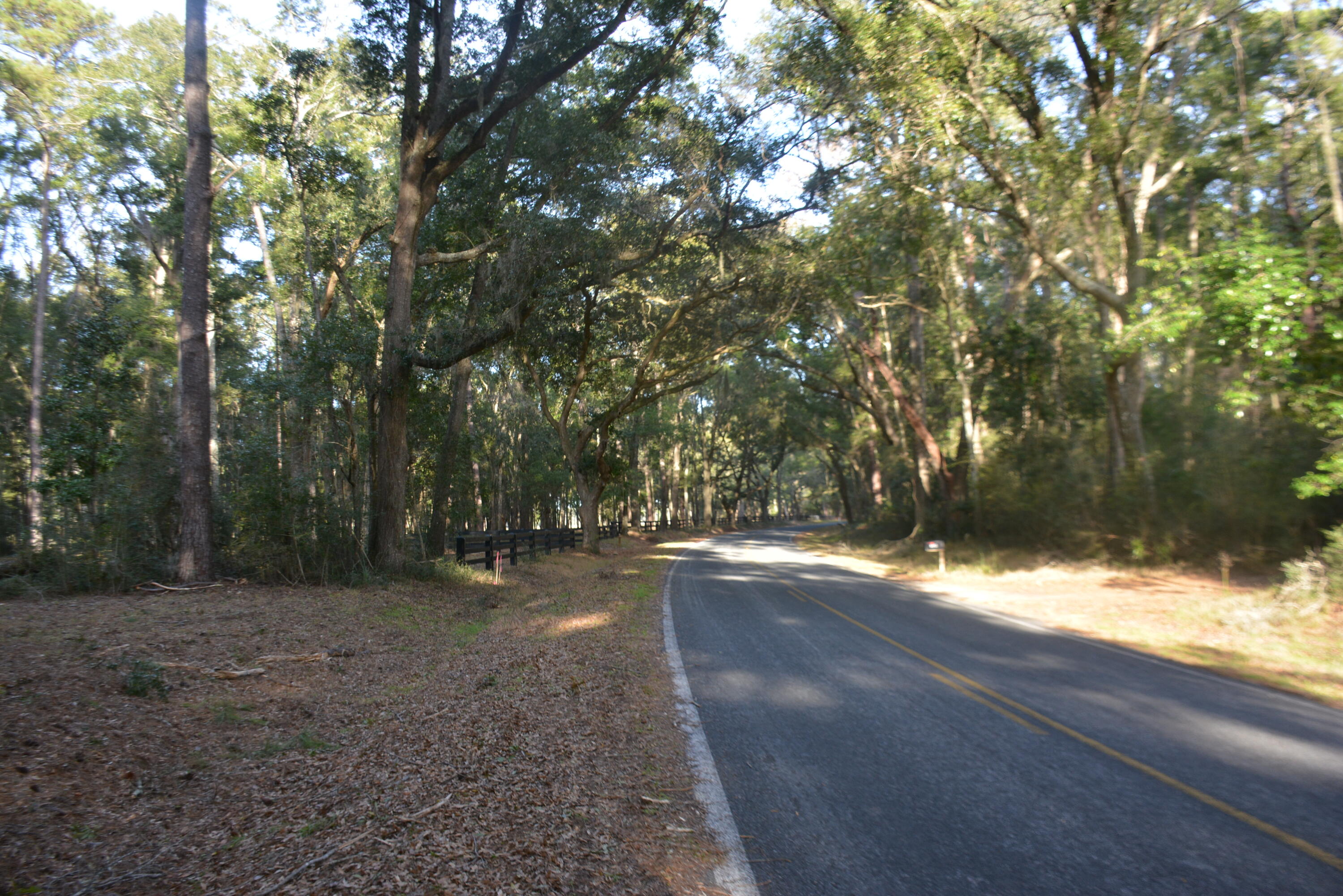 8532 Peters Point Road Edisto Island, SC 29438 - Photo 1 of 35 _DSC7579