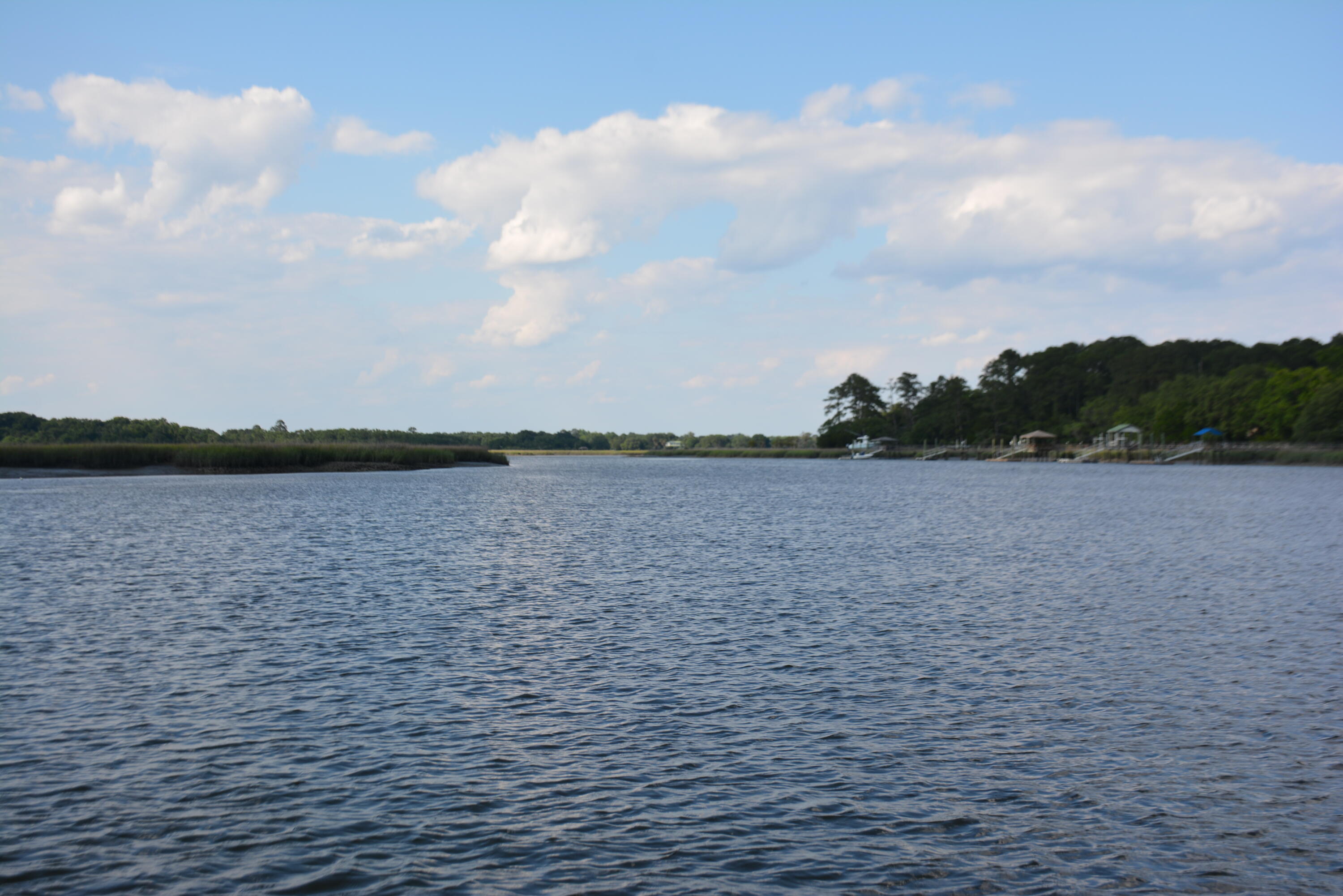 8532 Peters Point Road Edisto Island, SC 29438 - Photo 22 of 35 _DSC7576