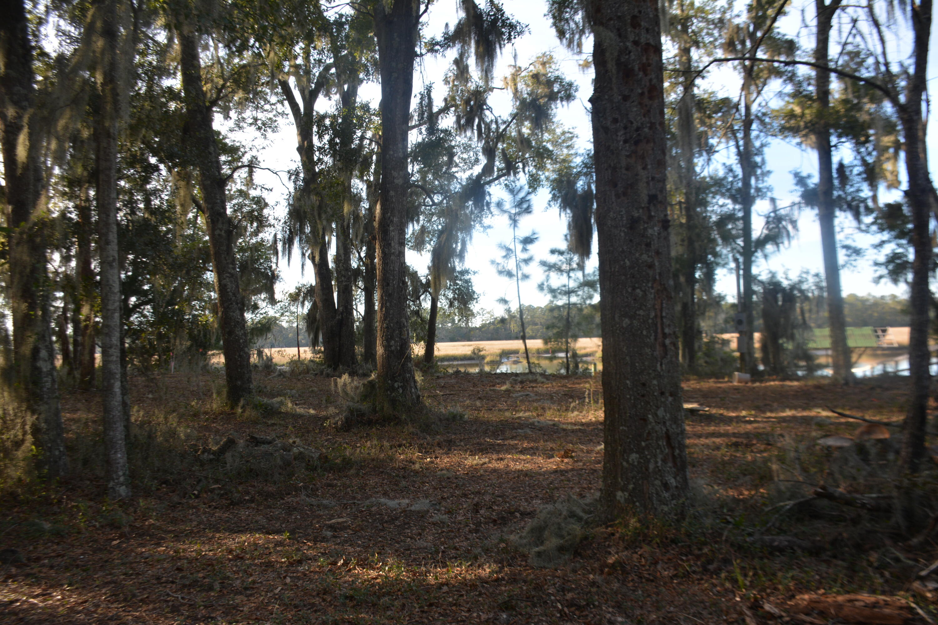 8532 Peters Point Road Edisto Island, SC 29438 - Photo 4 of 35 _DSC7584