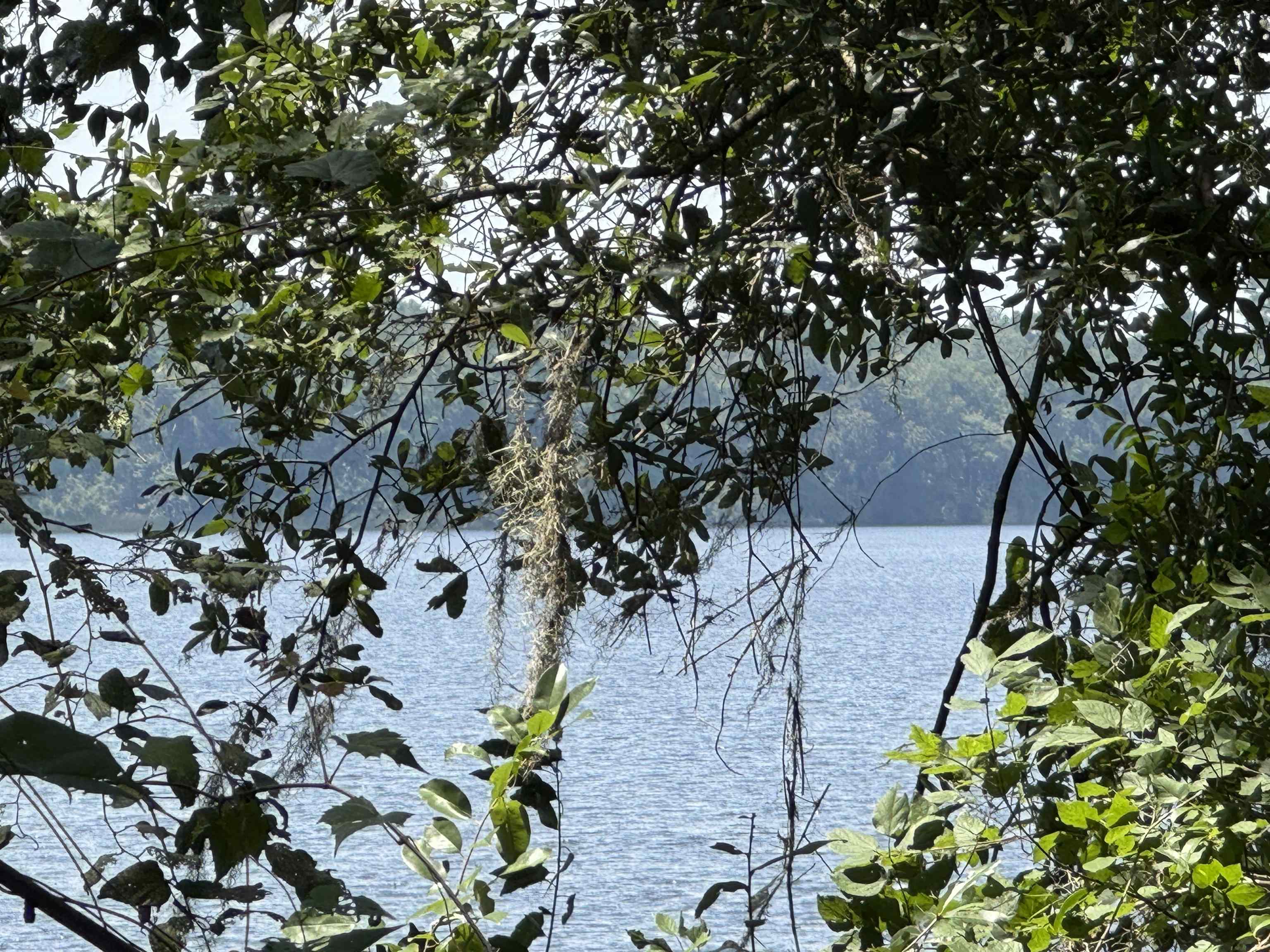 Parramore Shores Road Tallahassee, FL 32310 - Photo 18 of 31