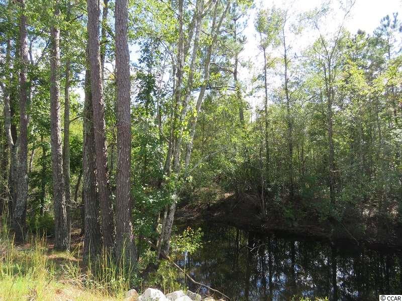 2 Swimming Hole Road Delco, NC 28436 - Photo 2 of 11 Gallery Image 2