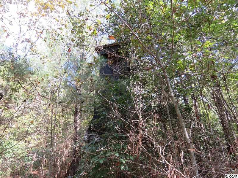 2 Swimming Hole Road Delco, NC 28436 - Photo 4 of 11 Gallery Image 4
