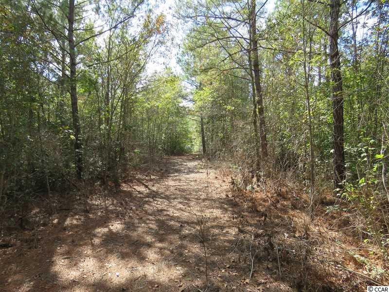 2 Swimming Hole Road Delco, NC 28436 - Photo 10 of 11 Gallery Image 10
