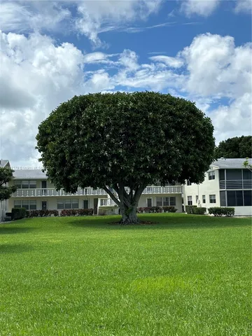a view of a park with large trees