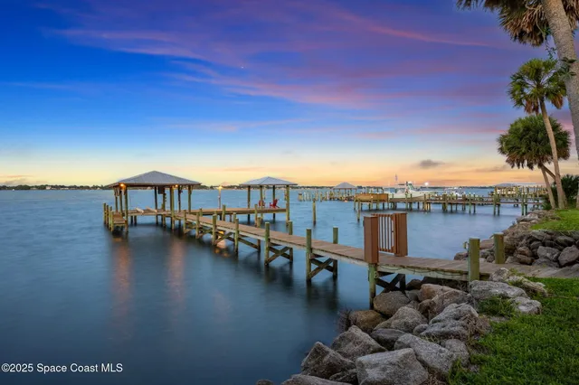 a view of front door and potted plants