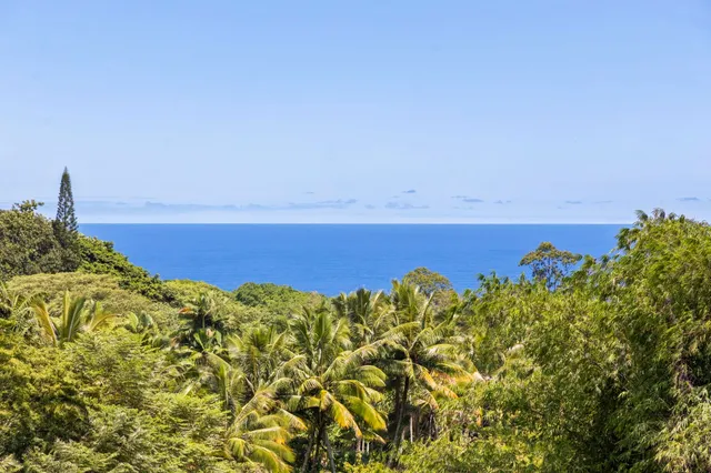 $2,335,500 | 285 Kalo Road, Hana, HI 96713
