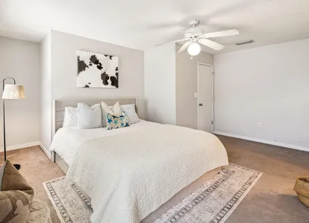 a bedroom with a bed tv and a window