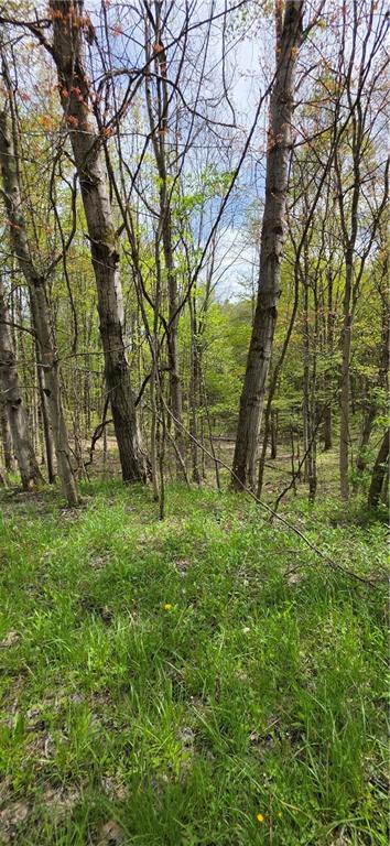 258 West Allen Road Polk, PA 16342 - Photo 10 of 19 a view of backyard with green space