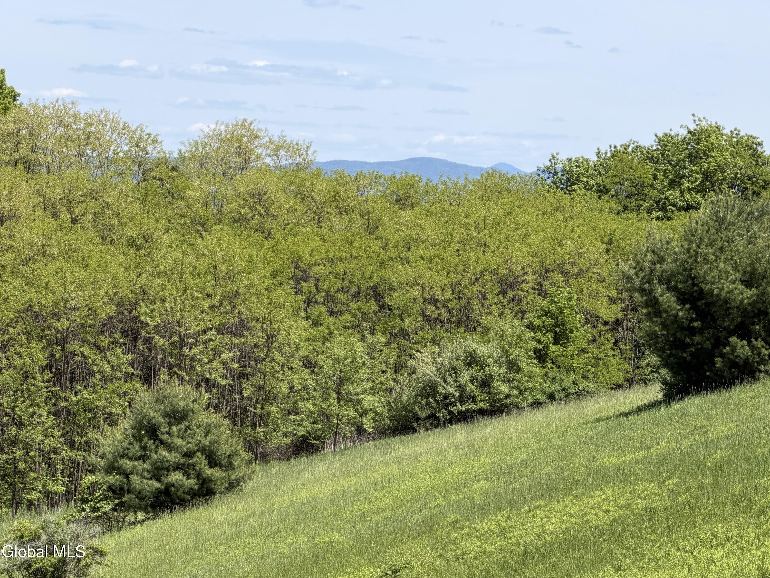 L132.5 Aldous Road Granville, NY 12832 - Photo 7 of 23 4018