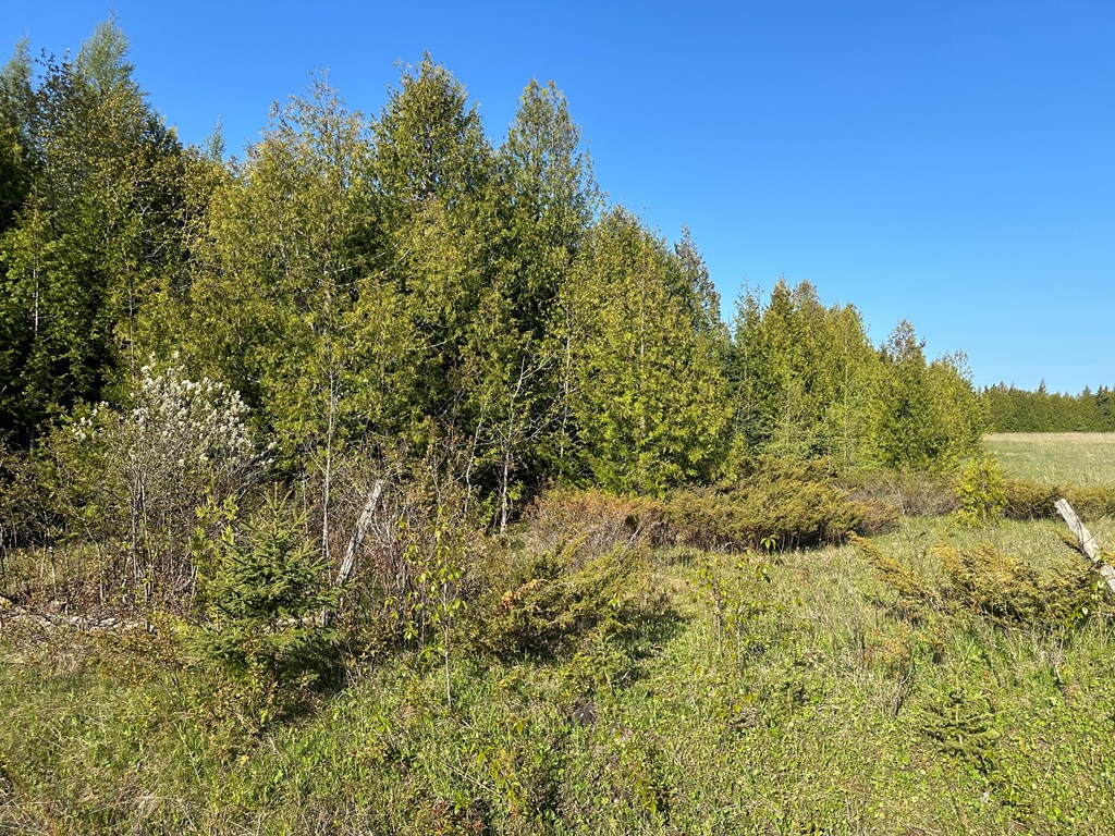 North Bay Road Sister Bay, WI 54234 - Photo 3 of 4