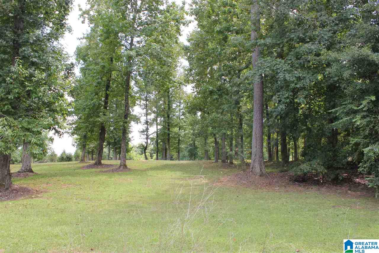 1780 Brookside Road, Unit 1 Mount Olive, AL 35117 - Photo 5 of 13 Gallery Image 5