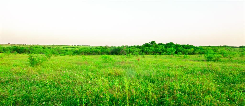 Tbd Tbd Goodwyn Road Italy, TX 76651 - Photo 5 of 23 a view of a big yard with large trees