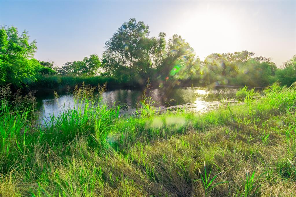 Tbd Tbd Goodwyn Road Italy, TX 76651 - Photo 6 of 23 a view of lake with a yard