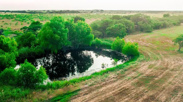 a view of a garden with a lake