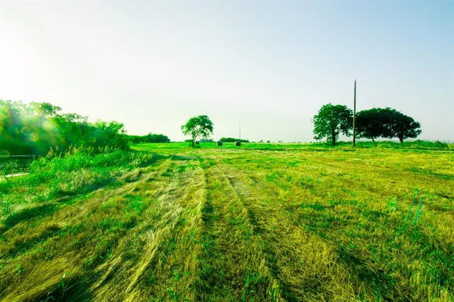 a green field with lots of bushes