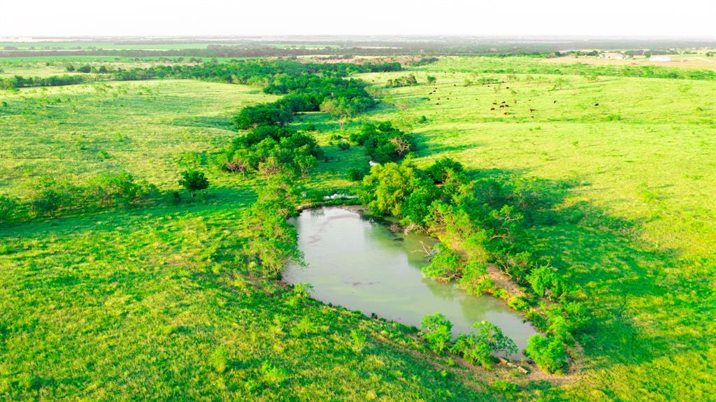Tbd Tbd Goodwyn Road Italy, TX 76651 - Photo 9 of 23 a view of a field with an ocean