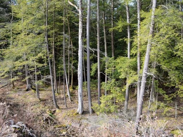5785 Jackson Run Road Warren, PA 16365 - Photo 21 of 26 Gallery Image 21