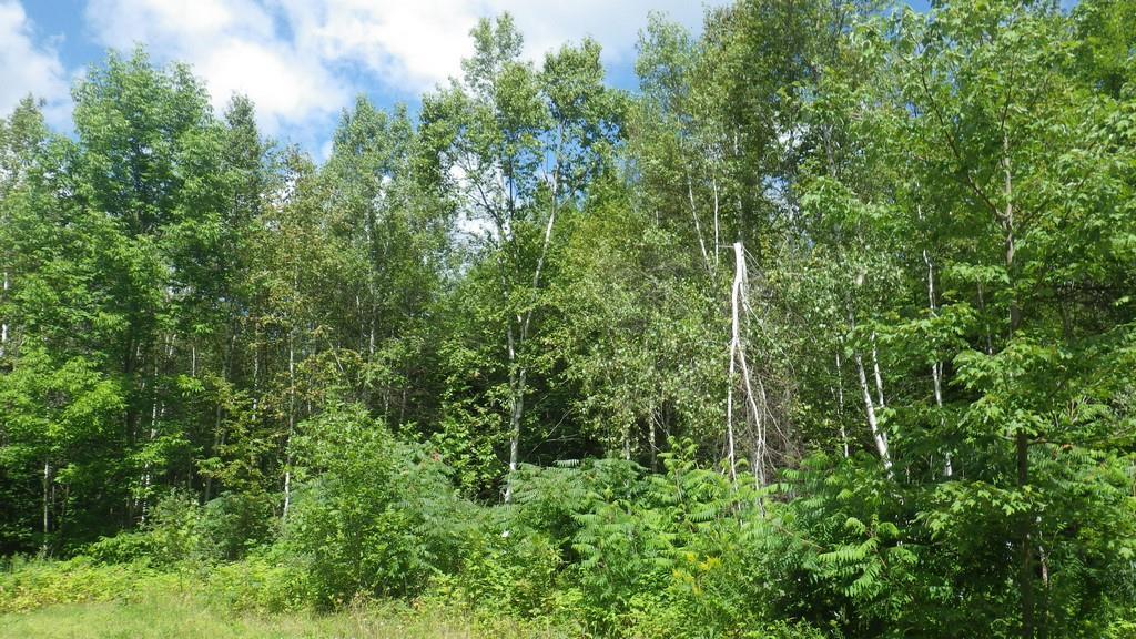16 Cross Road Greenbush, ME 04418 - Photo 25 of 33 Photo