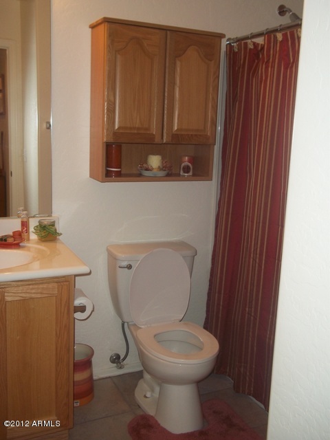 16221 West Calavar Road Surprise, AZ 85379 - Photo 16 of 25 GUEST BATH