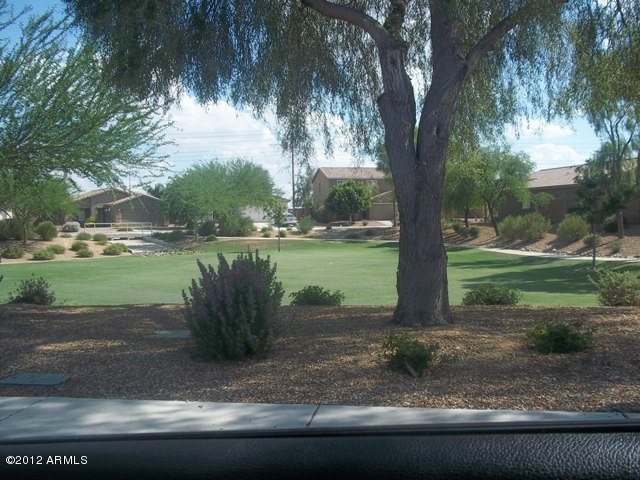16221 West Calavar Road Surprise, AZ 85379 - Photo 22 of 25 GREEN BELT 1