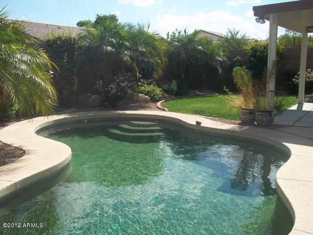 16221 West Calavar Road Surprise, AZ 85379 - Photo 3 of 25 POOL 2