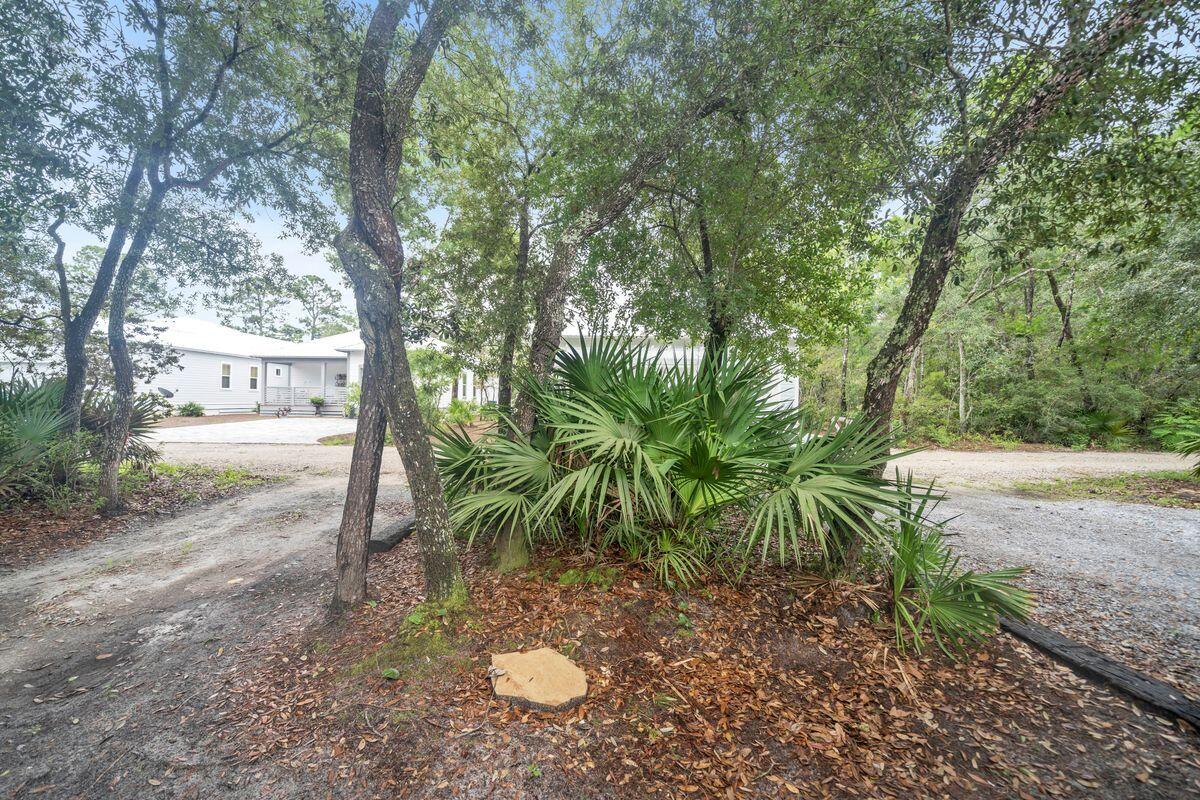 114 Riker Avenue Santa Rosa Beach, FL 32459 - Photo 41 of 43 photo_online_038