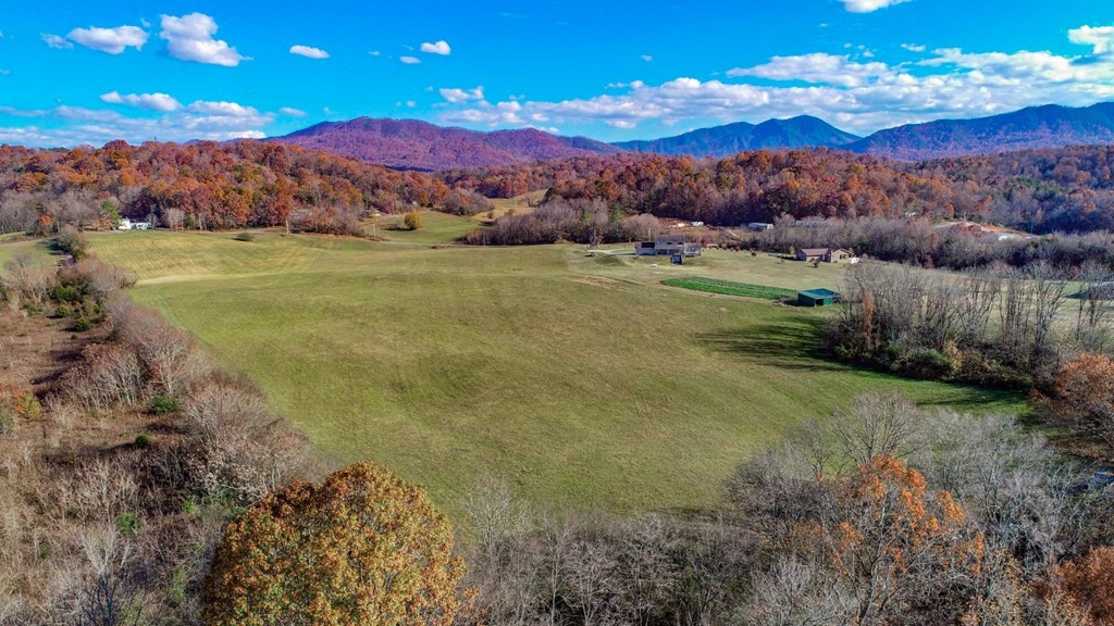2041 Bluff Road Parrottsville, TN 37843 - Photo 19 of 38 Gallery Image 19