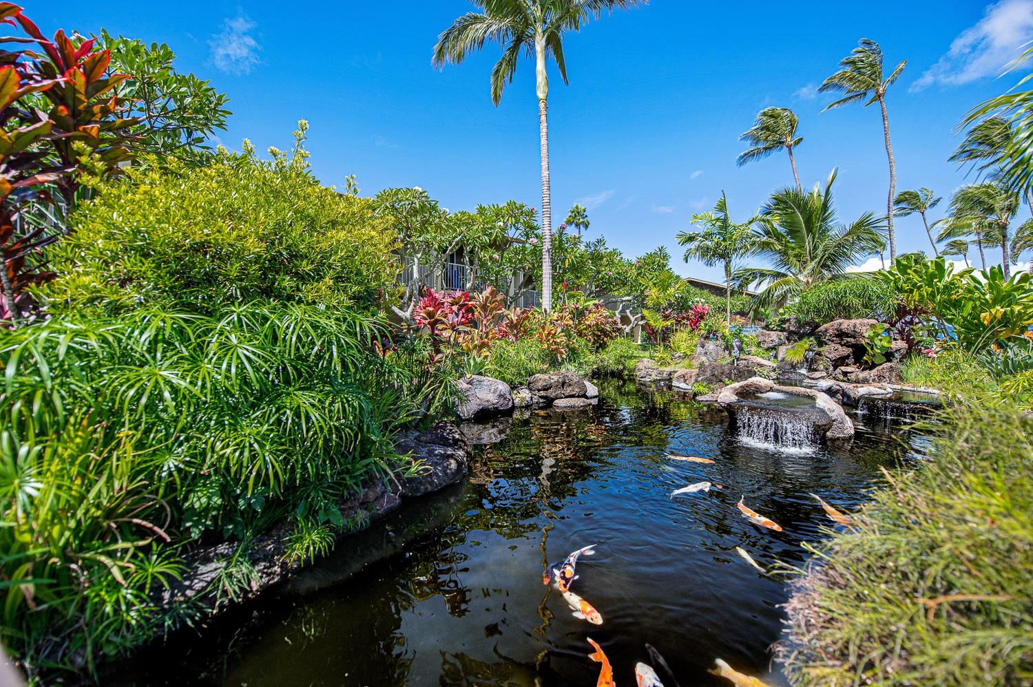 5315 Lower Honoapiilani Road, Unit B113 Lahaina, HI 96761 - Photo 28 of 41 Gallery Image 28