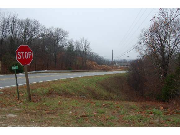 86 Oakview Drive Ridgedale, MO 65739 - Photo 1 of 1 Primary Photo