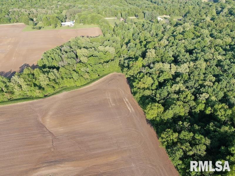 4 4h Road Bridgeport, IL 62417 - Photo 11 of 85