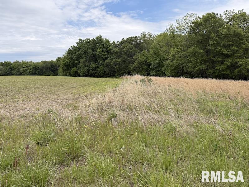 4 4h Road Bridgeport, IL 62417 - Photo 16 of 85