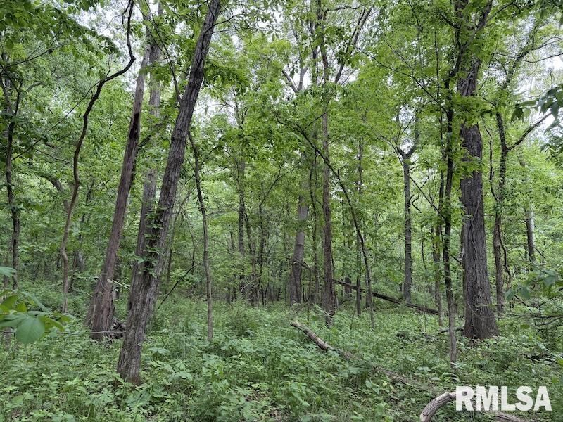 4 4h Road Bridgeport, IL 62417 - Photo 21 of 85