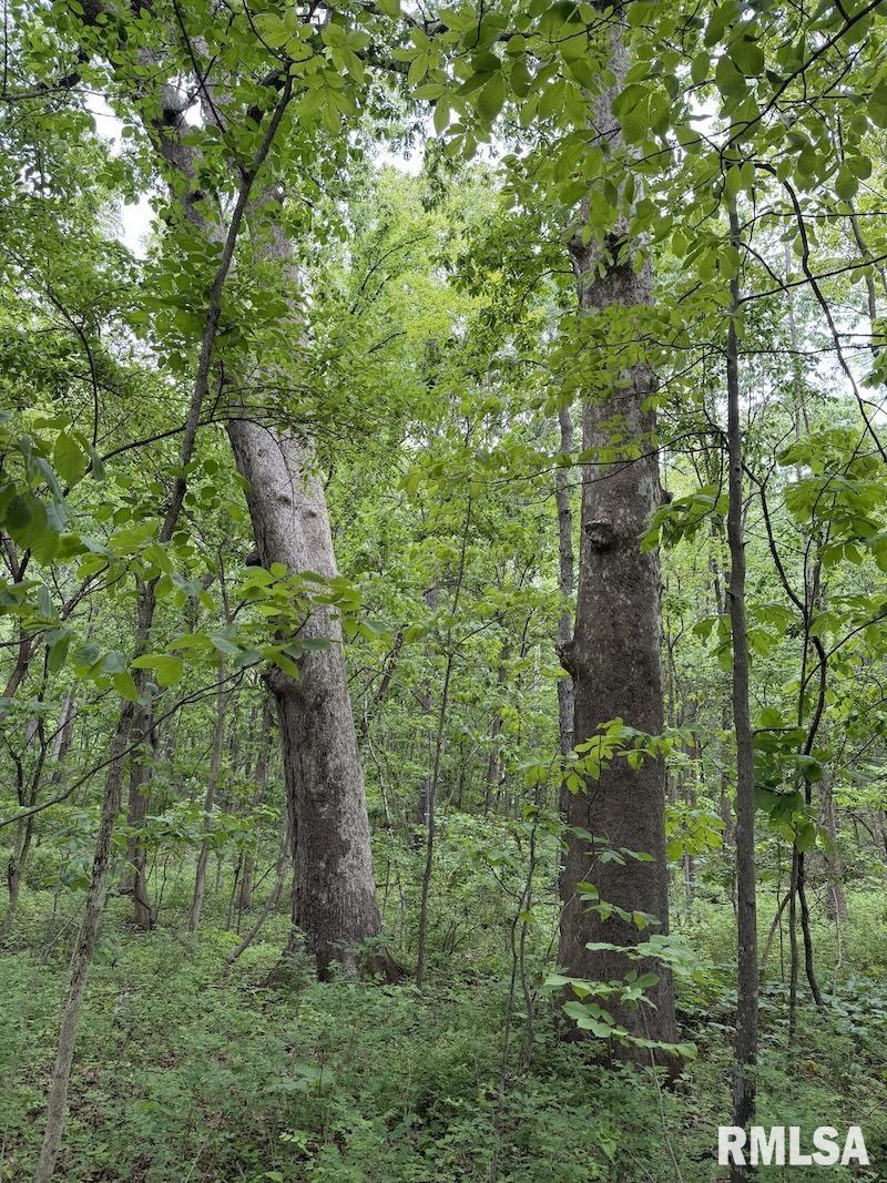 4 4h Road Bridgeport, IL 62417 - Photo 22 of 85