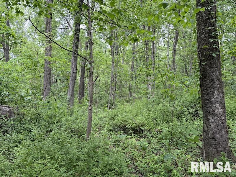 4 4h Road Bridgeport, IL 62417 - Photo 25 of 85