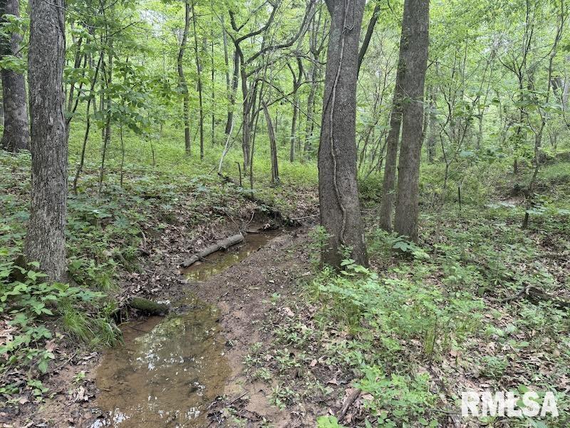 4 4h Road Bridgeport, IL 62417 - Photo 28 of 85