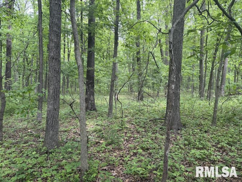 4 4h Road Bridgeport, IL 62417 - Photo 29 of 85