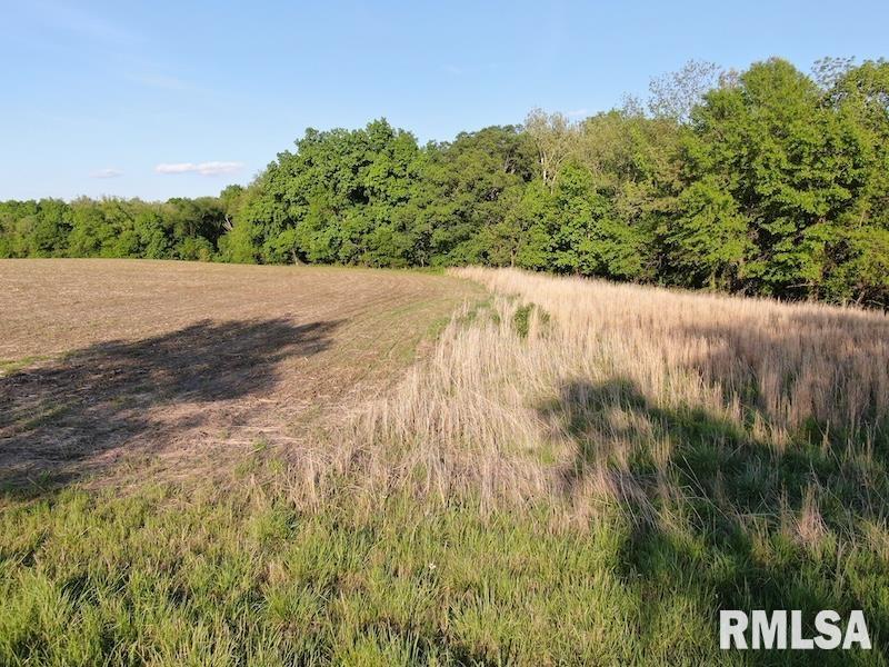 4 4h Road Bridgeport, IL 62417 - Photo 3 of 85