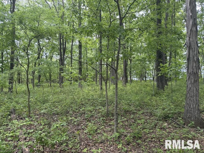 4 4h Road Bridgeport, IL 62417 - Photo 45 of 85