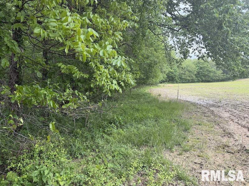 4 4h Road Bridgeport, IL 62417 - Photo 49 of 85