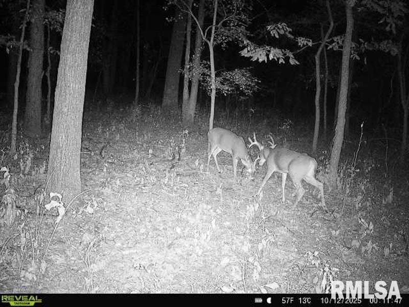 4 4h Road Bridgeport, IL 62417 - Photo 52 of 85