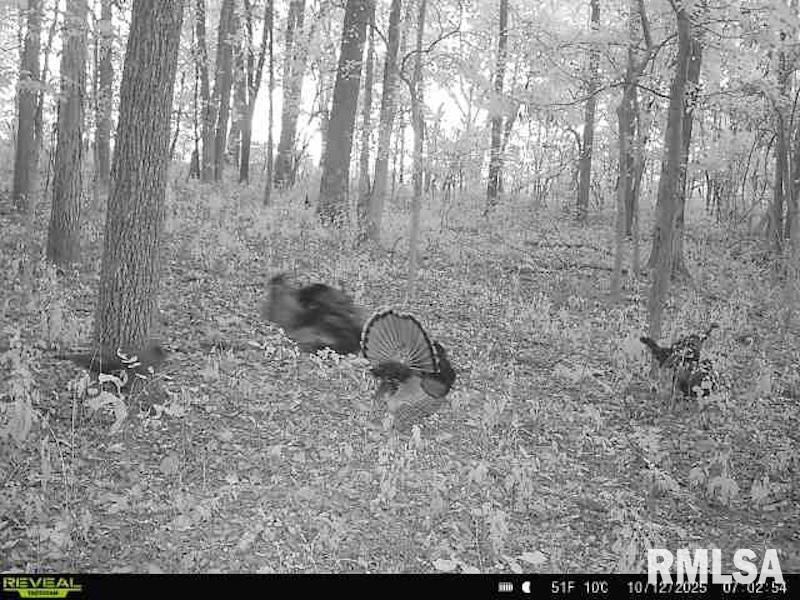 4 4h Road Bridgeport, IL 62417 - Photo 53 of 85