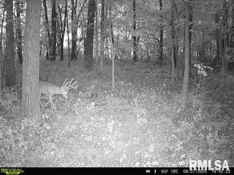 4 4h Road Bridgeport, IL 62417 - Photo 58 of 85